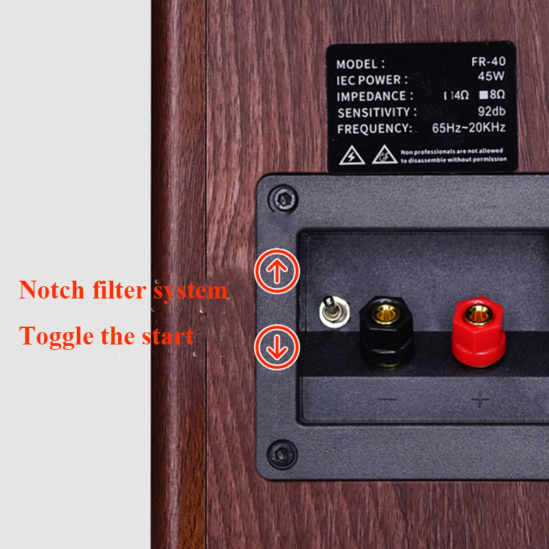 FR40 Lossless HIFI Passive Spe - огляд і ціна Gaming Speaker 2.1