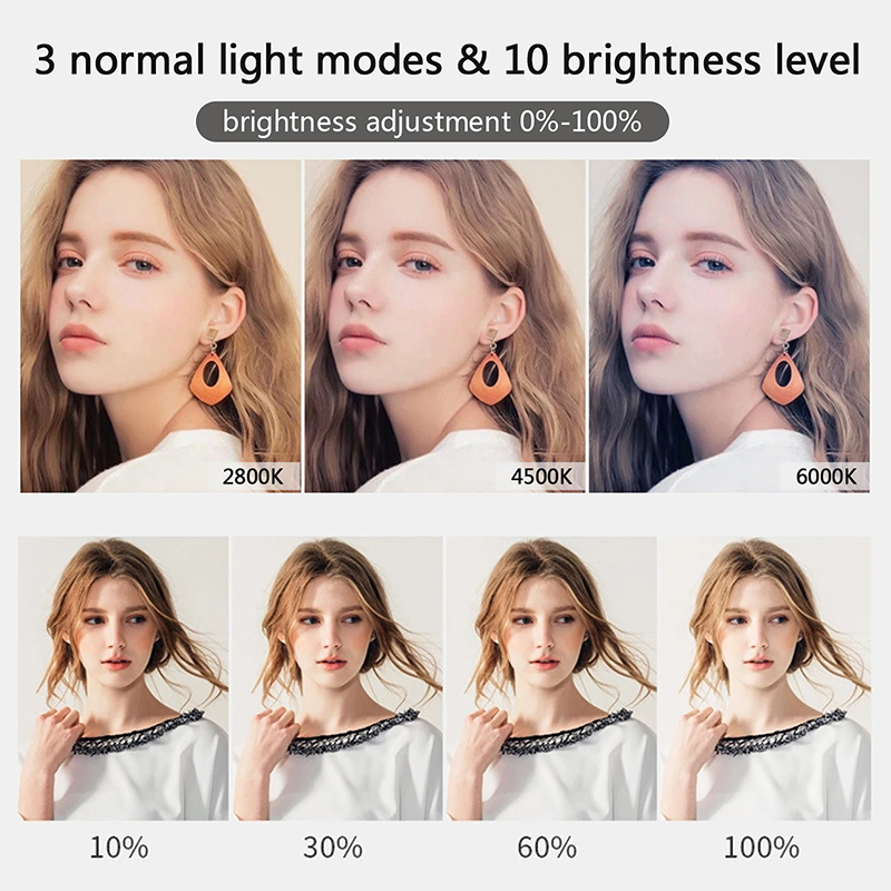 10 inch LED Selfie Ring Light  - огляд і ціна Webcam Ring Light